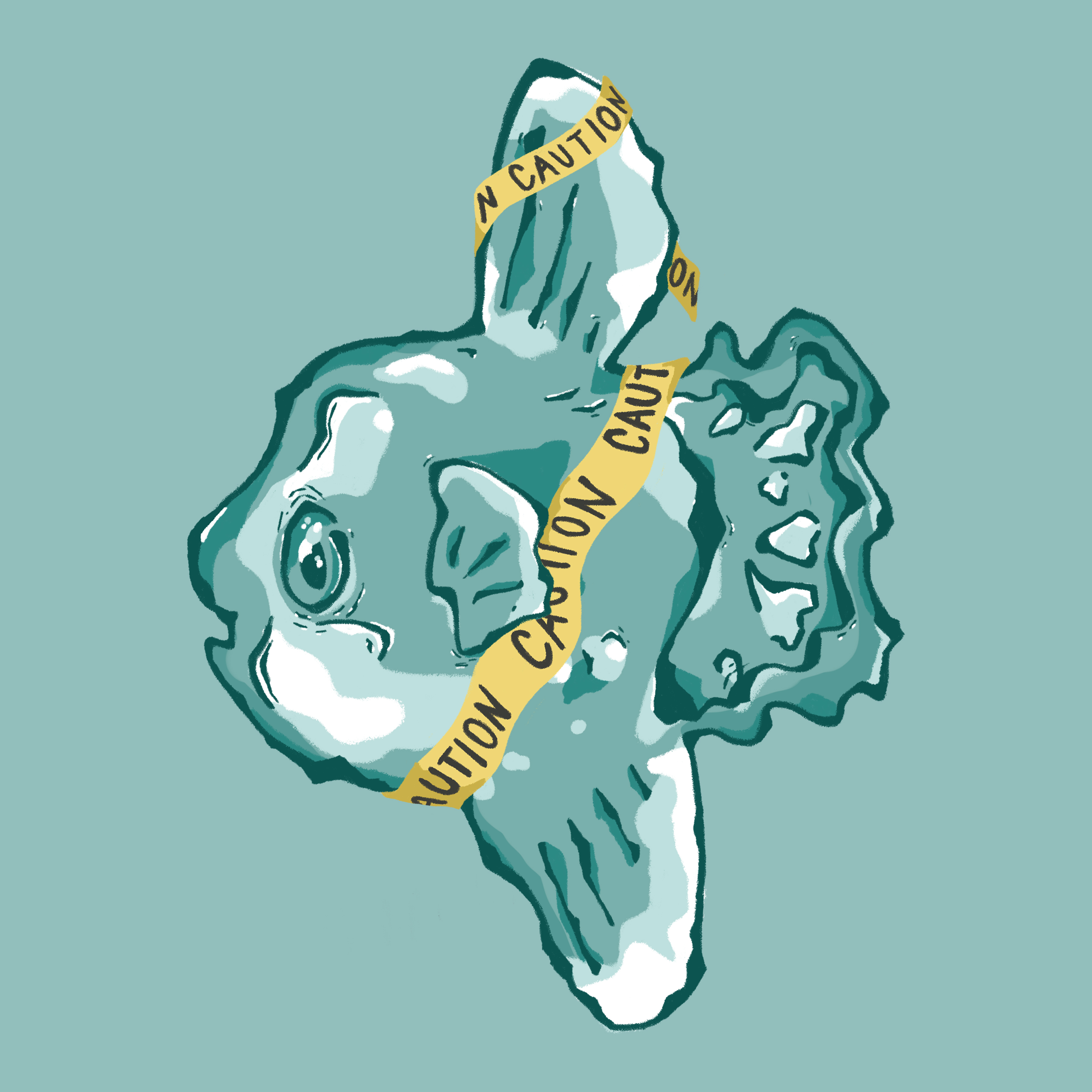 Second slide